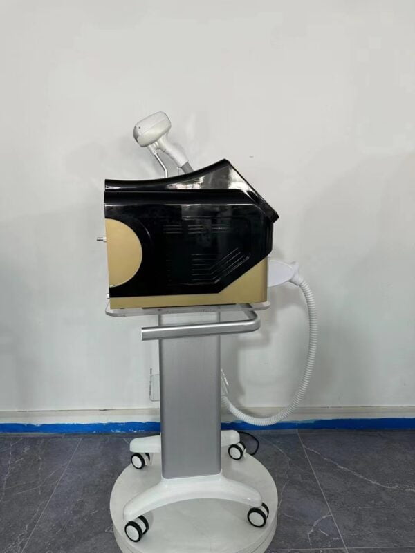 seal-elegance-gold-pzmtw4