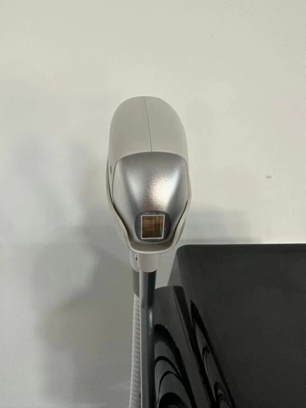 seal-elegance-gold-v4styr